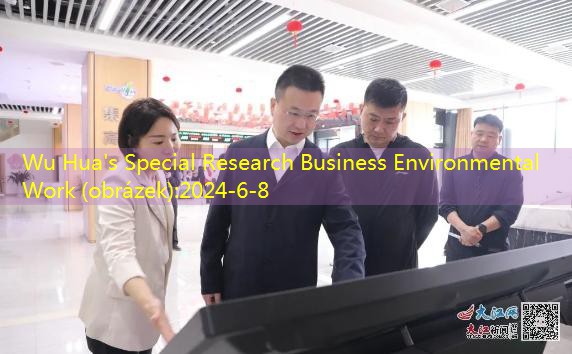 Wu Hua’s Special Research Business Environmental Work (obrázek)